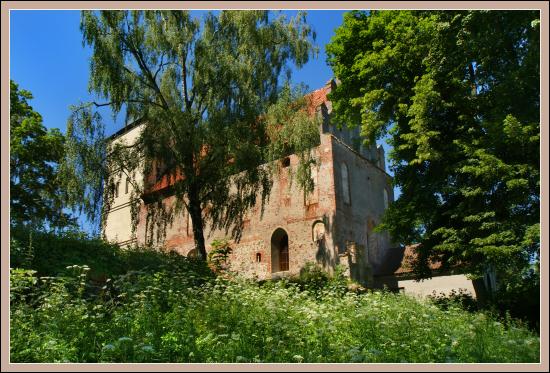 Bezławki zdjęcie nr 5726