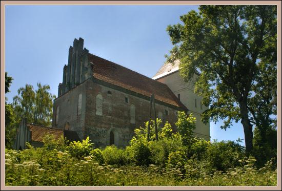 Bezławki zdjęcie nr 5722