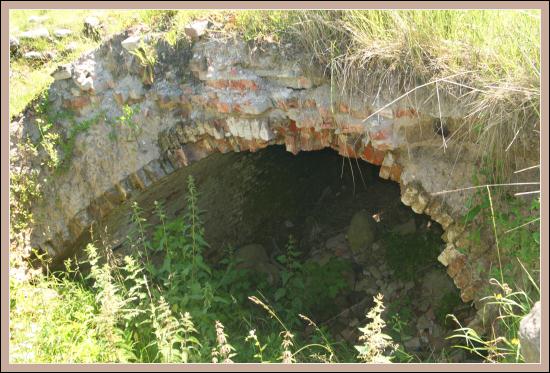 Bezławki zdjęcie nr 5732