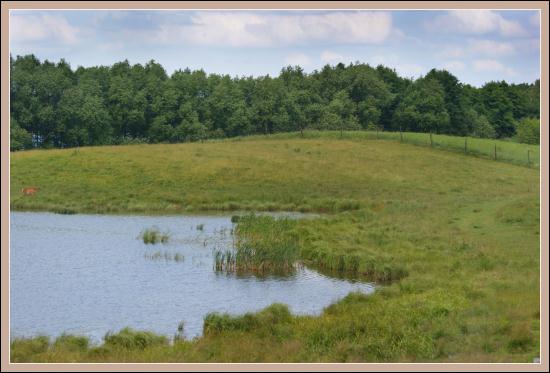 Kosewo Górne zdjęcie nr 5525