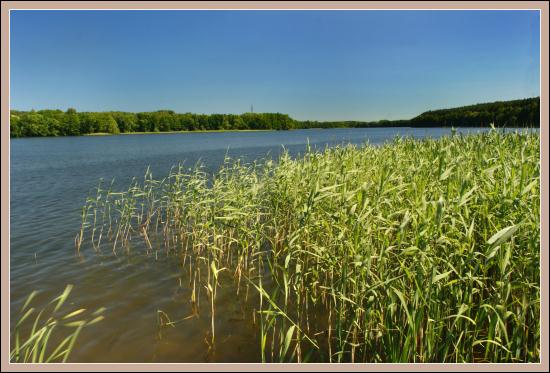 Druga plaża - przy os. Grunwaldzkim