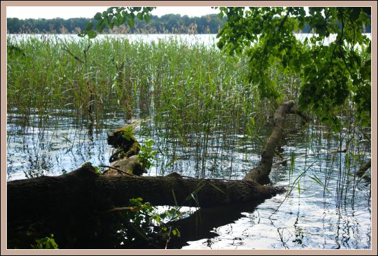 Mrągowo zdjęcie nr 5326