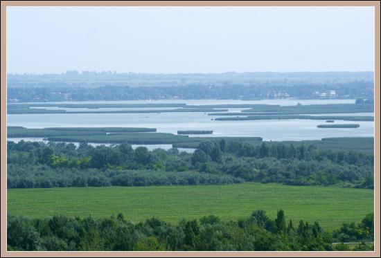 Widoki z wieży widokowej w arboretum Pakozd
