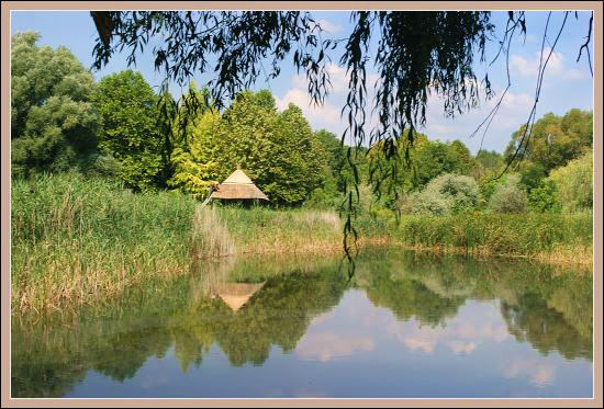 Najładniejsze widoki w arboretum
