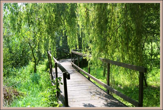 Pakozd - arboretum