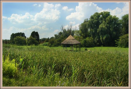 Pakozd zdjęcie nr 5203