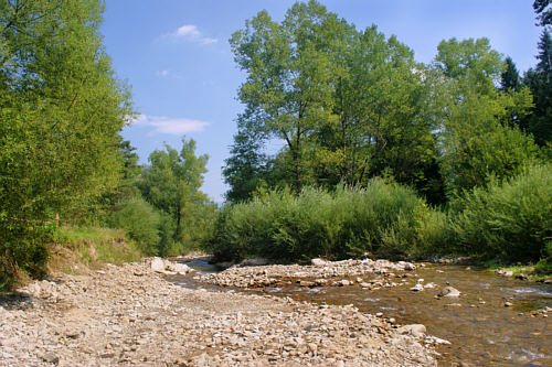 Piwniczna Zdrój zdjęcie nr 5182