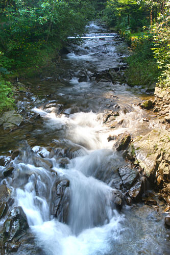 Piwniczna Zdrój zdjęcie nr 5183