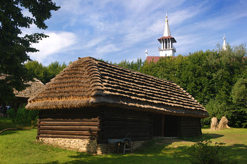 Skansen utworzono na terenie dawnego parku dworskego