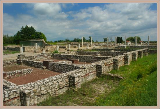 Tac zdjęcie nr 4621