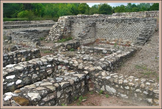 Tac zdjęcie nr 4631