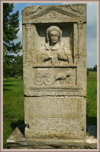 Tac zdjęcie nr 4649
