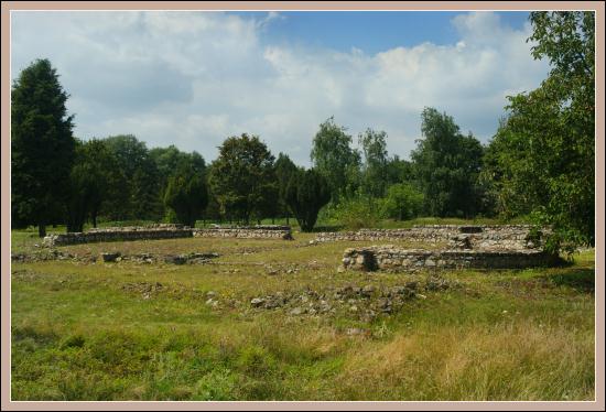 Tac zdjęcie nr 4647