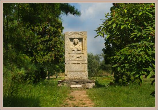 Tac zdjęcie nr 4648