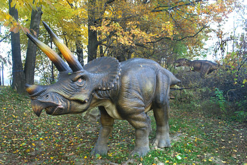 Triceratops