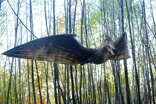 Pteranodon