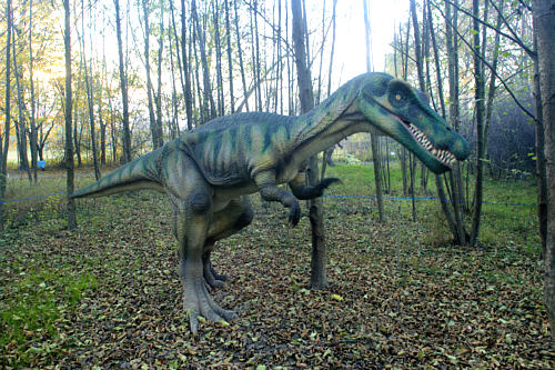 Ustroń zdjęcie nr 4564