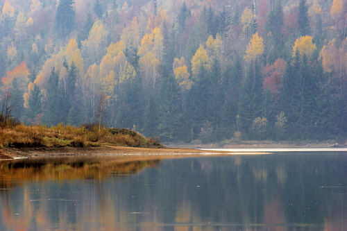 Widoki przy jeziorze