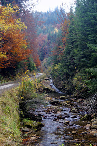 Wisła zdjęcie nr 4466