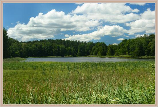 Wojnowo zdjęcie nr 4448