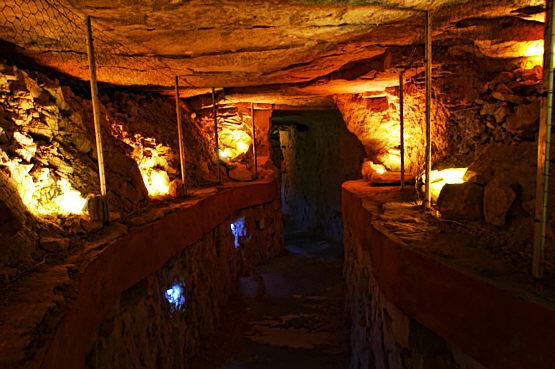 Krzemionki zdjęcie nr 6030