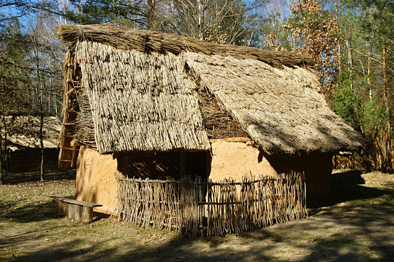 Krzemionki zdjęcie nr 6037