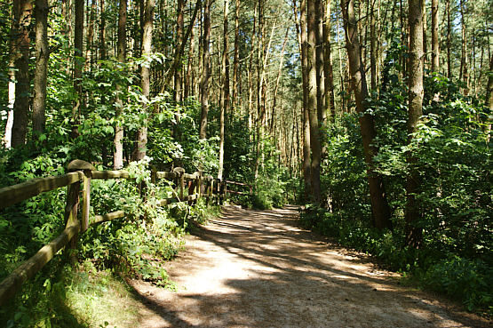 Część trasy prowadzi po schodach