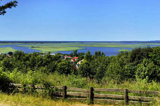 Wsteczna delta Świny 