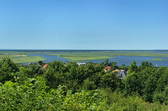Widok z Zielonki