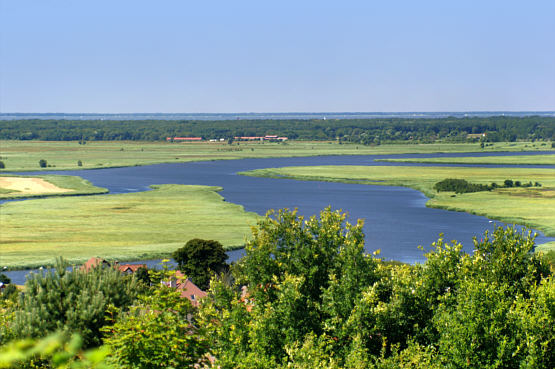 Lubin zdjęcie nr 5938