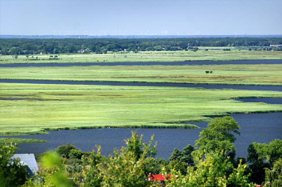 Lubin zdjęcie nr 5941