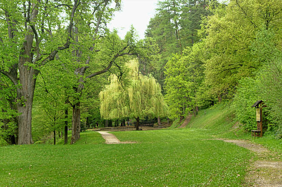Svaty Anton zdjęcie nr 6049
