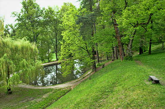 Svaty Anton zdjęcie nr 6054