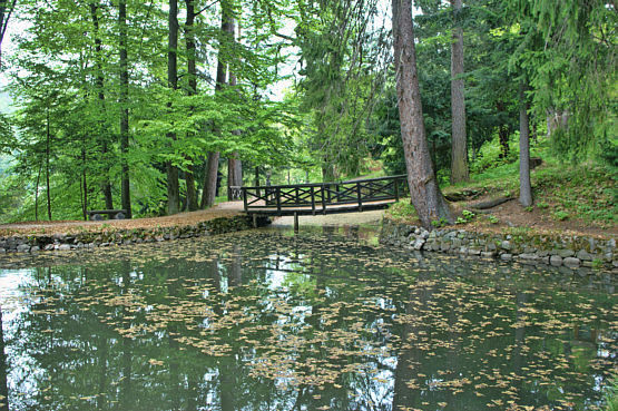 Svaty Anton zdjęcie nr 6057