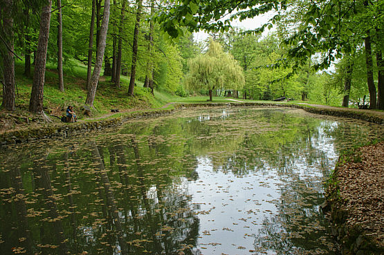 Svaty Anton zdjęcie nr 6059