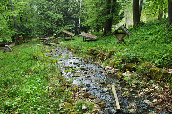 Strumyk
