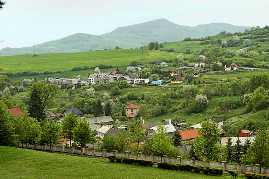 Widok na Szczawnickie Wierchy (chyba)