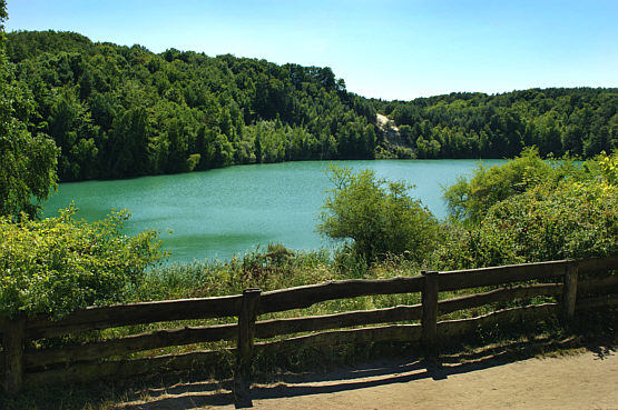 Wapnica zdjęcie nr 6180