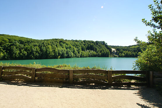 Wapnica zdjęcie nr 6183