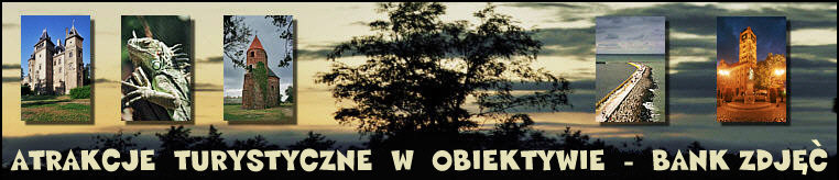 Logo - bank zdjęć
